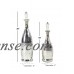 Decmode Contemporary 16 and 20 Inch Silver Glass Bottles with Clear Stoppers - Set of 2   568893657